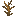 Dead Bush